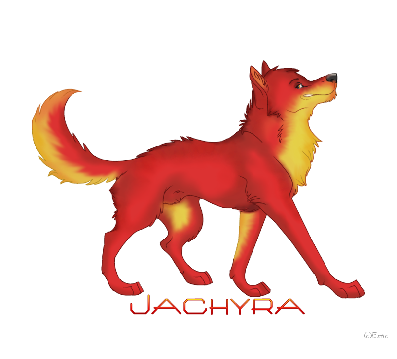Jachyra 7
