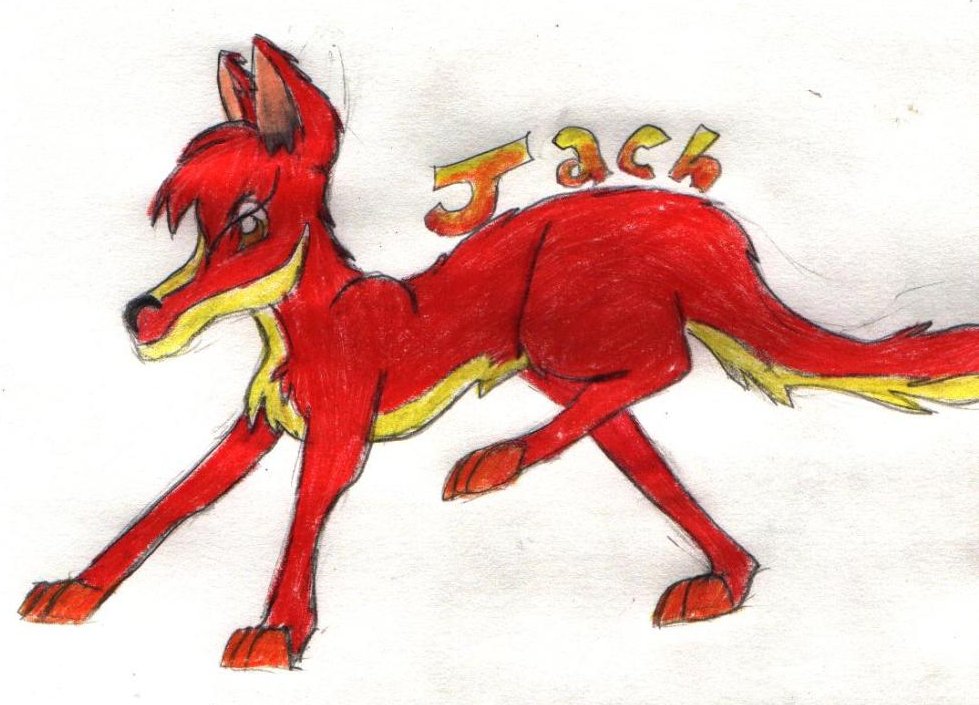 Jachyra 6